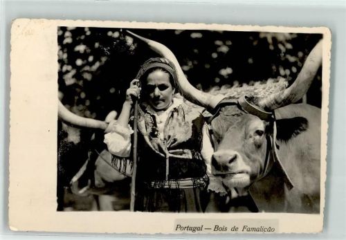 Estoril Bois de Famalicdo Tracht Rindvieh Ort lt. Stempel