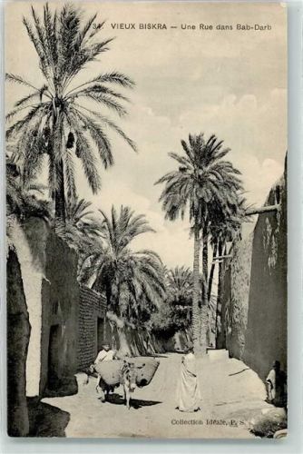 Biskra - une Rue dans Bab-Darb