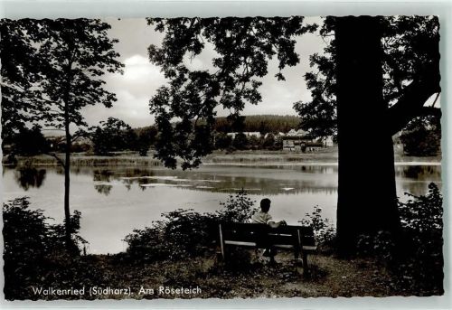 37445 W3425 Walkenried - Röseteich Ruhebank