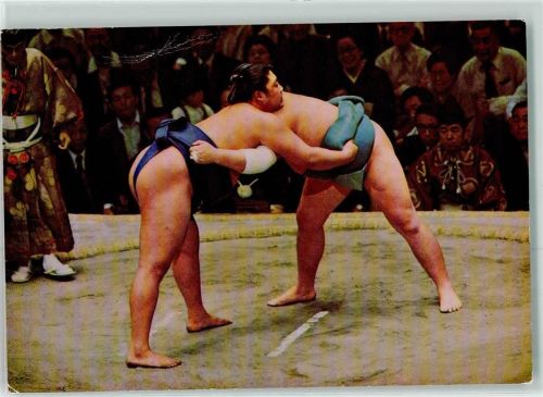 Sumo Ringen Foto AK