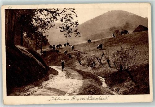 Idylle Nr. 15 Kühe auf der Wiese AK