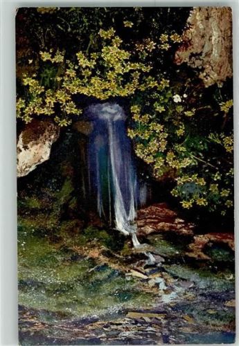 Photochromie Alpenflora Serie 519 Nr.903