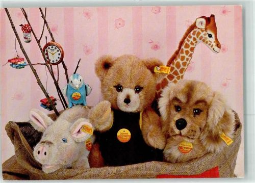 W7928 Giengen an der Brenz Teddybär Schwein Giraffe Hund Wellensittich Steiff Foto AK