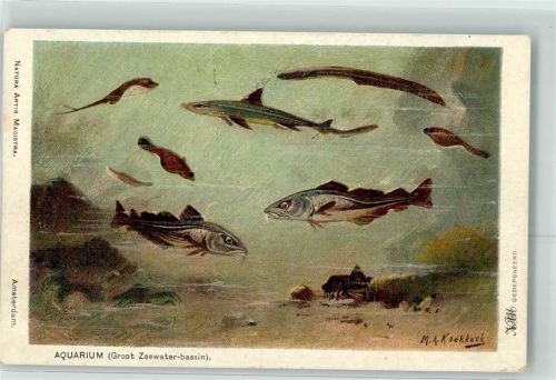Amsterdam sign.Koekkoek M.A. Aquarium