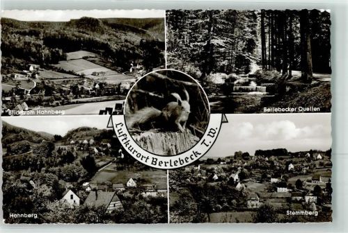 Berlebeck Eichhörnchen Berlebecker Quellen Hahnberg Stemmberg