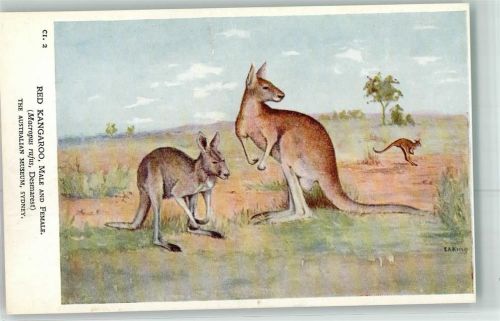 Sydney sign. King E.A. Kängurus Museum