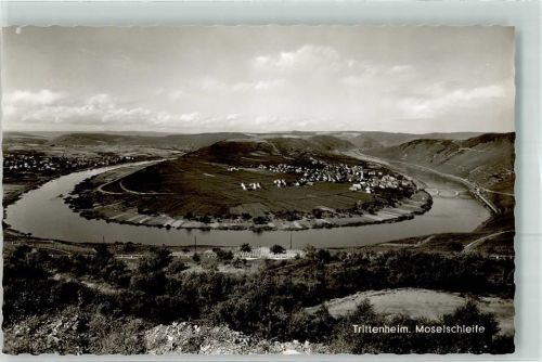 Trittenheim an der Moselschleife