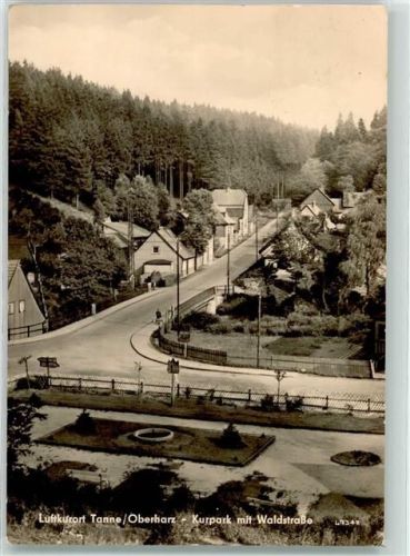 Tanne 1962 Kurpark mit Waldstraße