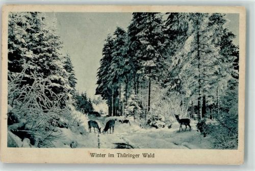 98746 O6424 Katzhütte - Winter Rotwild Ort lt. Stempel