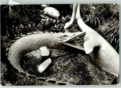 Kleinwelka Tylosaurus Elasmosaurus Kreide Gestalter Franz Gruß Foto Sieber