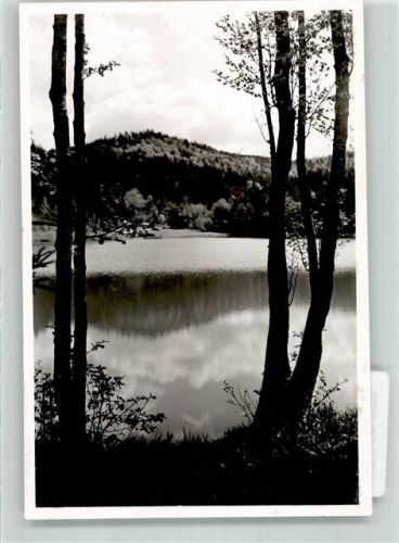 Fornsbach Foto Original aus Archiv eines Ansichtskartenverlags Waldsee Ort handschriftlich