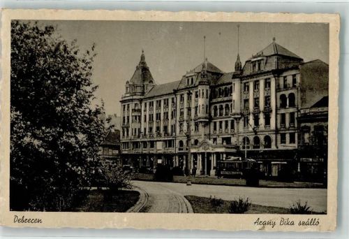 Debrecen Debreczin Foto AK Straßenbahn Arany Bika szallo