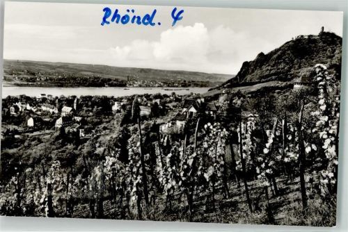 Rhöndorf Weinbergen am Fuße des Drachenfels
