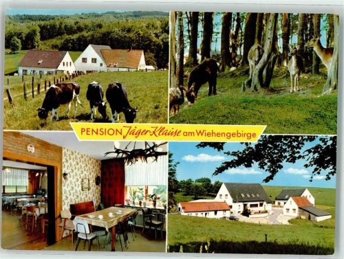 Blasheim Pension Jäger-Klause Wildgehege Esel
