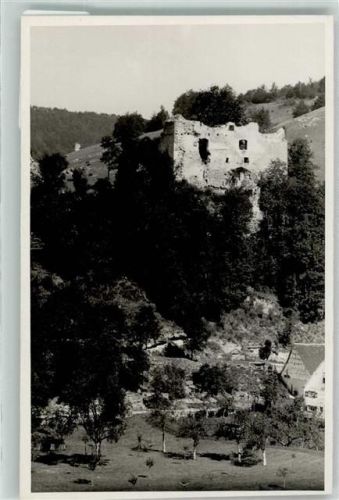 89522 W7922 Herbrechtingen FOTO KEINE AK Burgruine