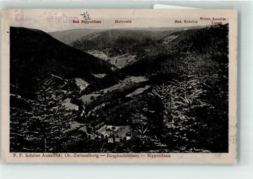 Zwieselberg Burgbachfelsen Bad Rippodsau Vogelschau