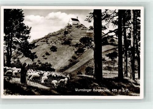 Rottenburg Wurmlinger Bergkapelle Schafe Schäfer