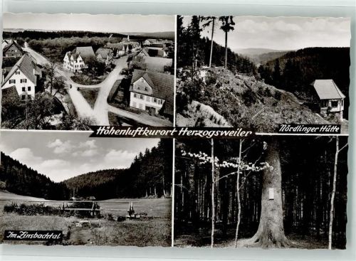 72285 W7293 Herzogsweiler - Nördlinger Hütte Vogelschau Zinsbachtal
