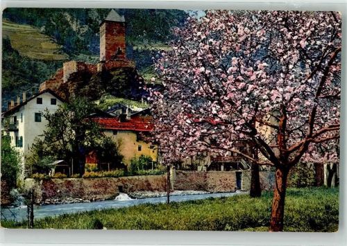 39019 Dorf Tirol Tirolo - Photochromie Serie 144 Nr. 2710 Obstblüte Tirol Burg