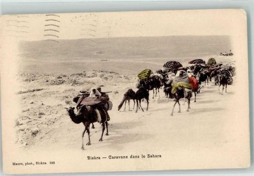 Biskra 1934 Tracht Kamele Karavane