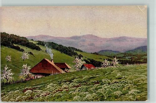 Ein einsamer Schwarzwaldhof in frühlingshafter Landschaft Verlag Geschwister Moos Serie V No. 12 Nessel Künstlerkarte