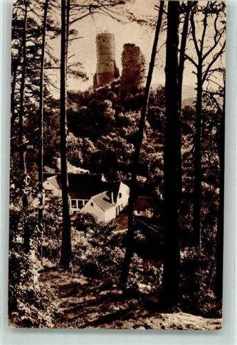 66459 W6654 Kirkel - Burgruine