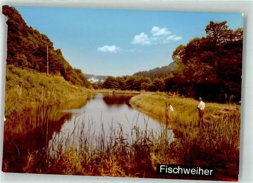 Fischbach Fischweiher Ort handschriftlich Foto Original aus Archiv eines Ansichtskartenverlags