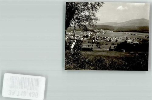 94566 W8356 Riedlhütte FOTO KEINE AK Foto Original aus Archiv eines Ansichtskartenverlags Ort handschriftlich