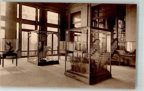Antwerpen Naturhistorisches Museum Großer Saal Schaukästen