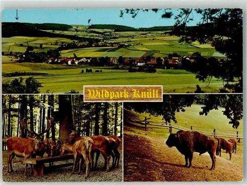 Homberg 1970 Wildpark Knüll