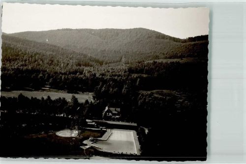 Hörste Foto Original aus Archiv eines Ansichtskartenverlags Vogelschau Freibad Ort handschriftlich