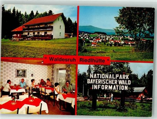 94566 W8356 Riedlhütte Foto AK Gasthof Pension Gasthaus Waldesruh Gastraum Wandbild Kirche Nationalpark Bayerischer Wald