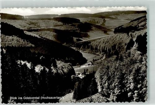 Hoheleye Odeborntal