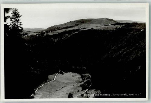 Feldberg