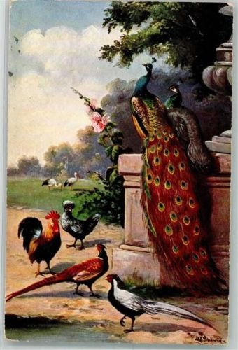 Geflügel Pfau Verlag Stroefer Serie 677