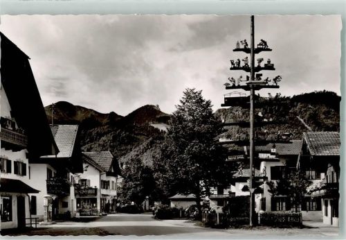 Grassau Maibaum
