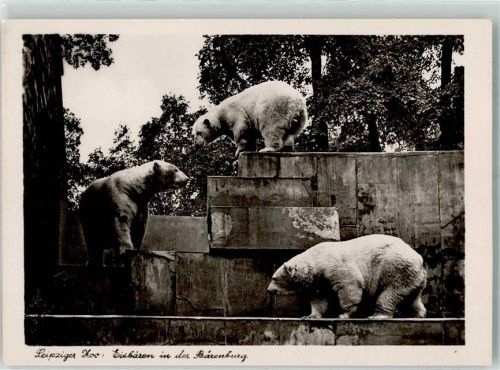 Leipzig Die Bärenburg im Zoologischen Garten