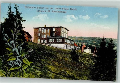 Neue schlesische Baude Gasthaus Blumen Enzian