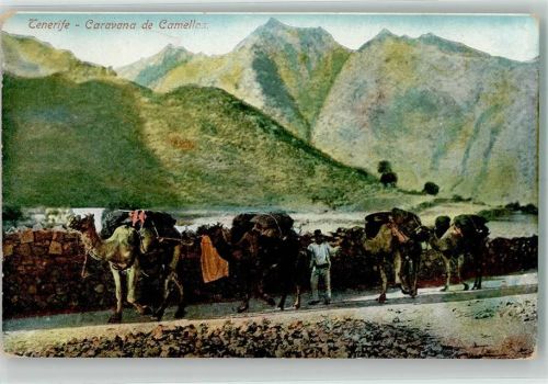 Santa Cruz Kamele Karavane Tracht