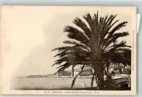 Ajaccio