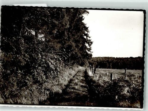 Flammersfeld Feldweg Foto Original aus Archiv eines Ansichtskartenverlags Ort handschriftlich