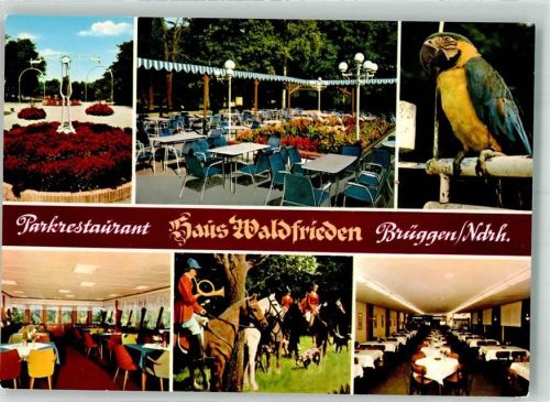 Brüggen Gasthaus Waldfrieden Papagei