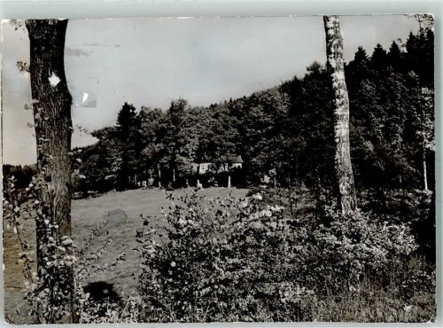 Eschershausen Ein einsames Haus im Wald Foto Original aus Archiv eines Ansichtskartenverlags Ort handschriftlich