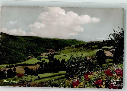 53940 W5374 Hollerath Foto AK Oberes Prethtal Fotograf Robert Cornely Nr. 401