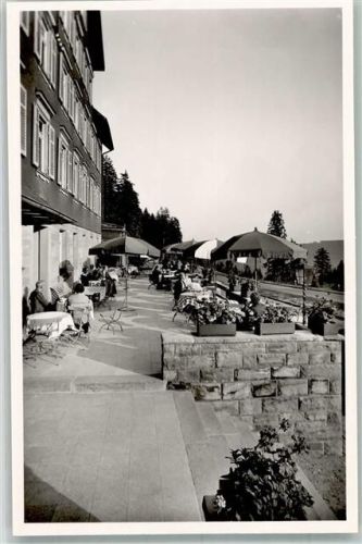Ruhestein An der Schwarzwald-Hochstraße