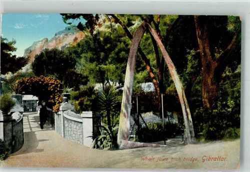Gibraltar Eine Brücke mit Walkieferknochen