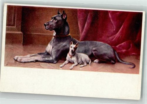 Verlag M. Munk Nr. 765 Deutsche Dogge Großer Hund Künstlerkarte
