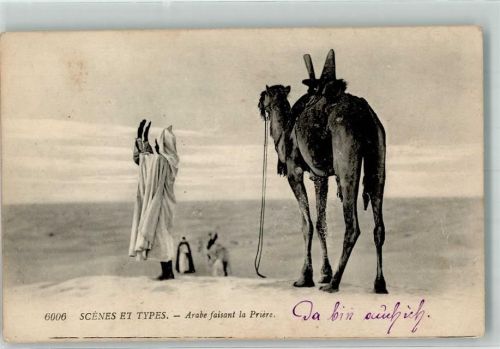 Nr. 6006 Scenes et Types Arabe faissant la Priere Kamel