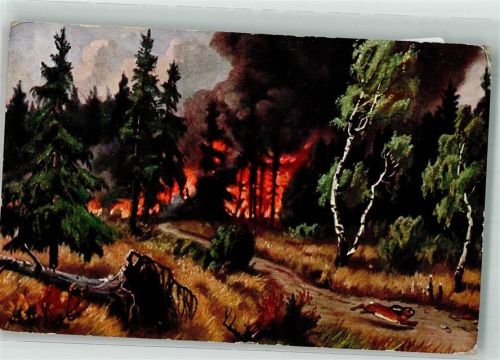 Waldbrand Verlag F.E.D. Serie 475