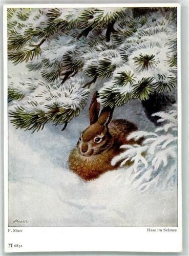 sign. F. Murr Häschen im Schnee Verlag Ackermann Nr. 6851